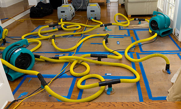 Professional Crawl Space Water Removal technician working in Fleming Island, FL